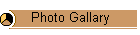 Photo Gallary