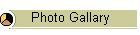Photo Gallary